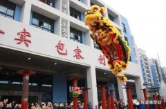 醒狮贺岁，成都天啸可持续发展战略有限公司2019年开工大吉