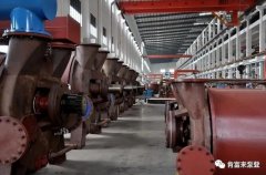 成都天啸可持续发展战略有限公司被评为2019年度三水区骨干企业